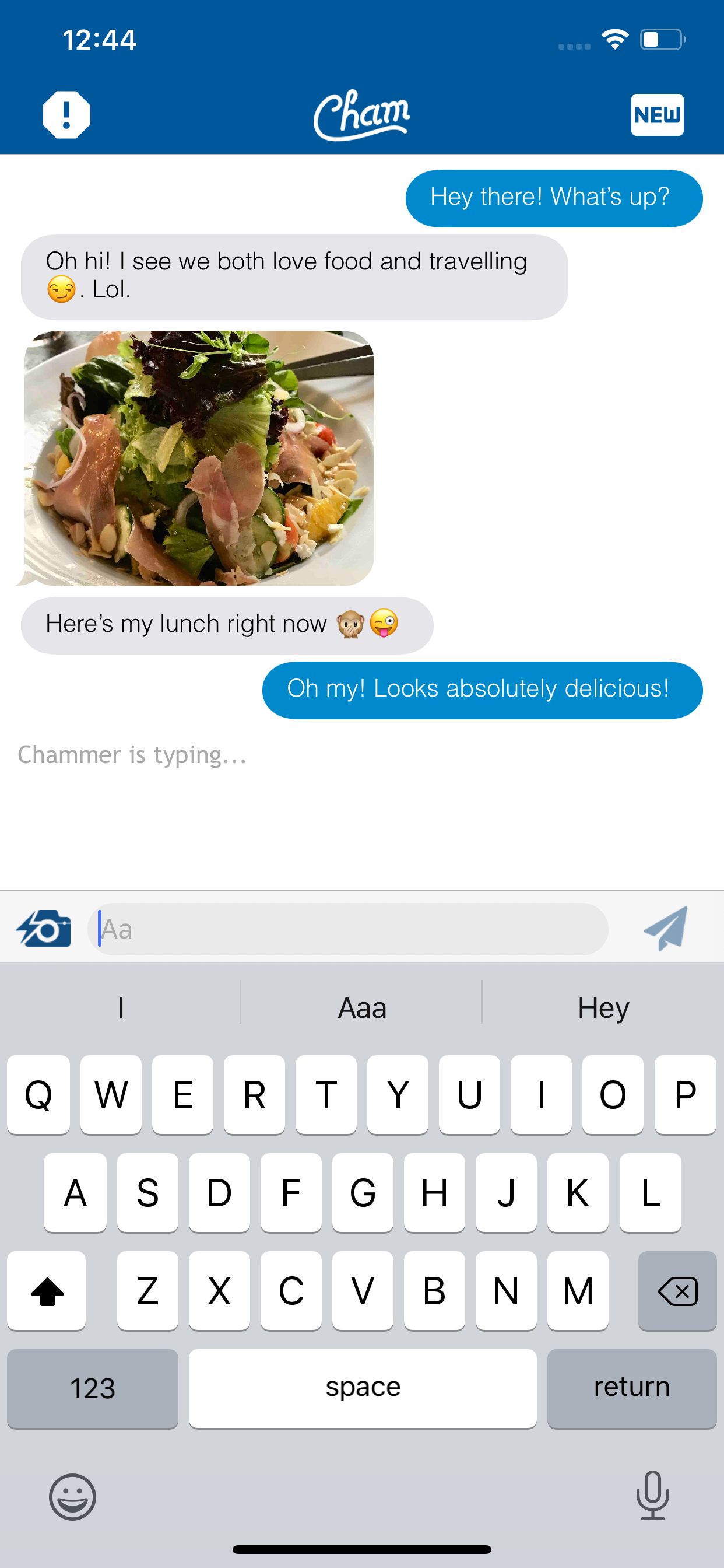 Cham app screenshot - Quicksnap feature