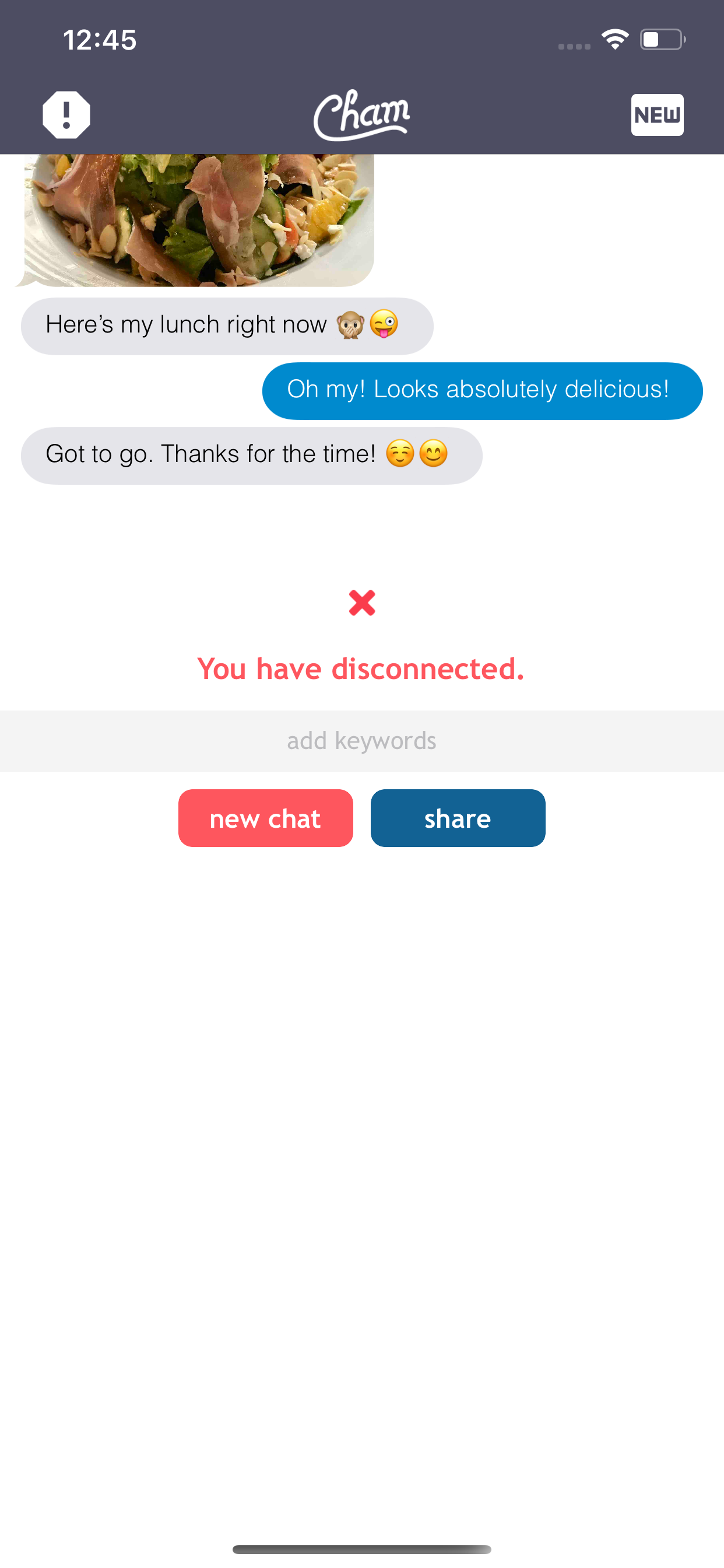 Cham app screenshot - Chat with the world